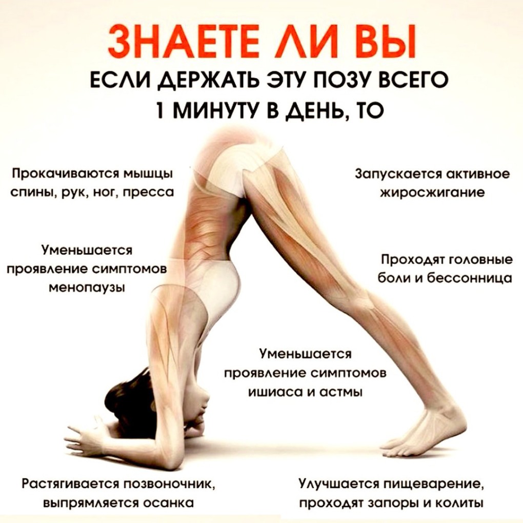 Женщина в позе кошки