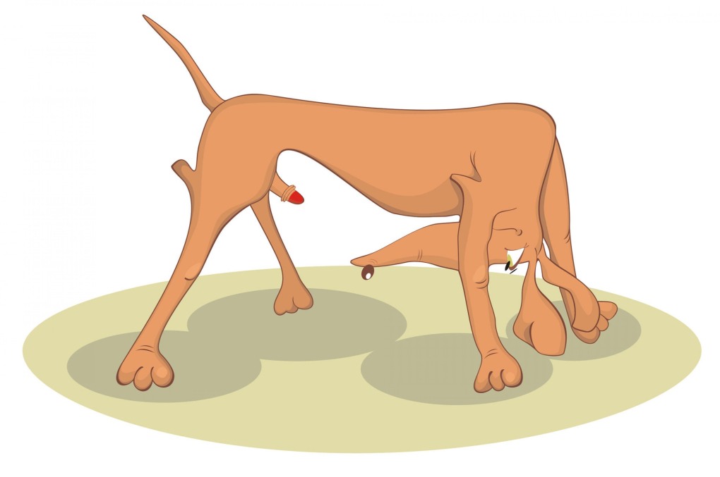 Мужика тащат в ЗАГС