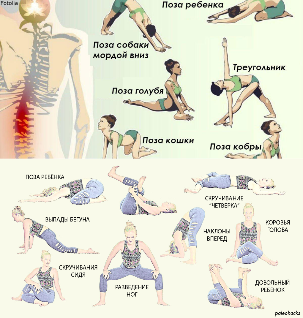 Адхо Мукха сукхасана