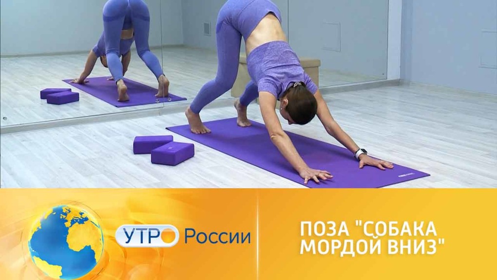 Поза собака мордой вниз в йоге