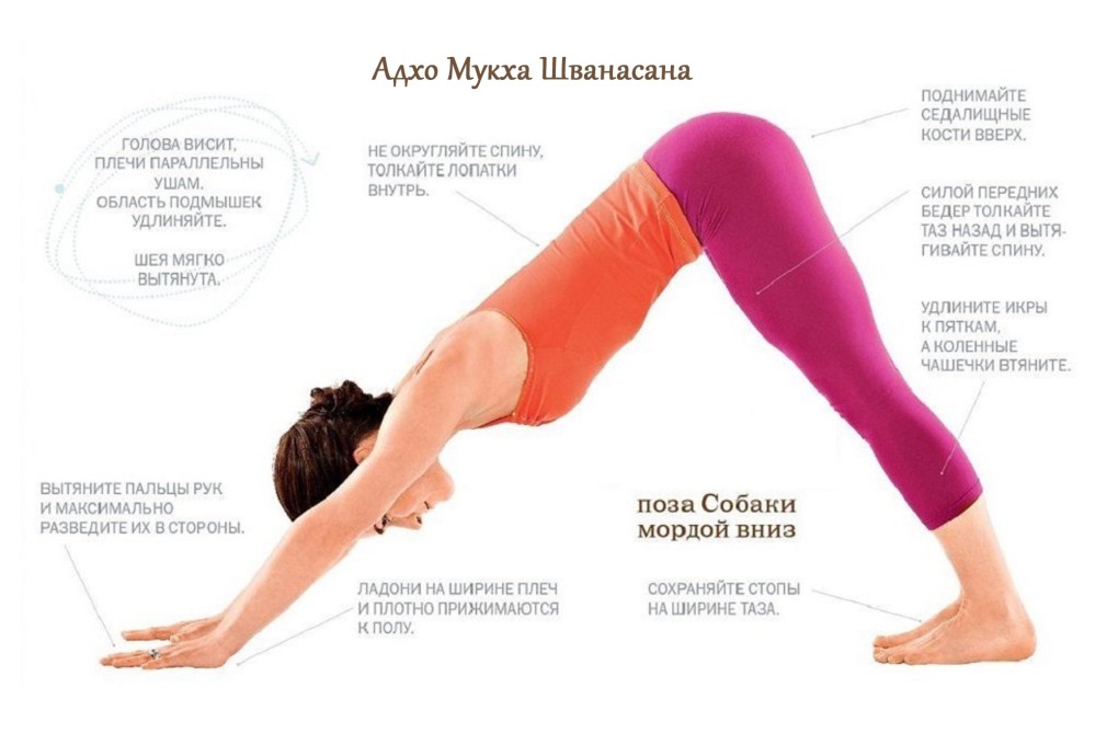 Уштрасана поза верблюда