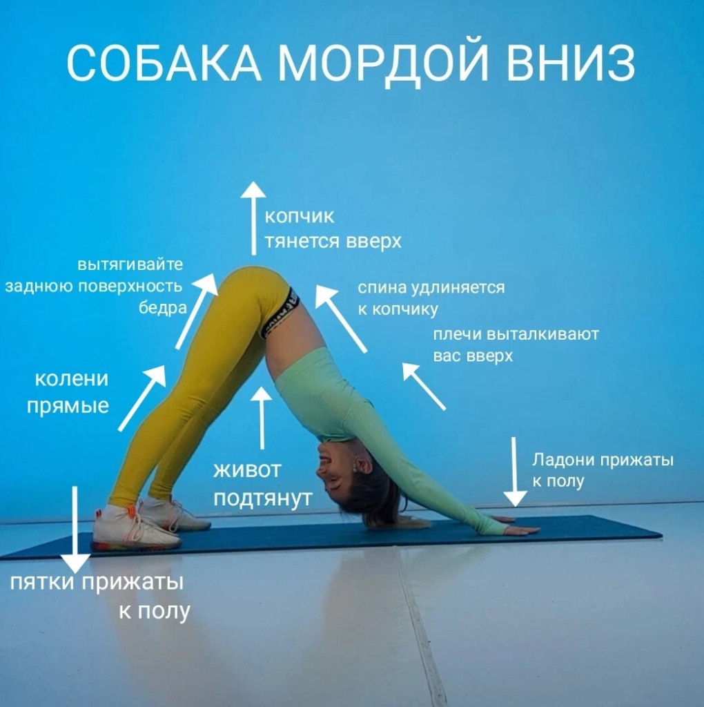 Адхо Мукха Шванасана поза собаки мордой вниз