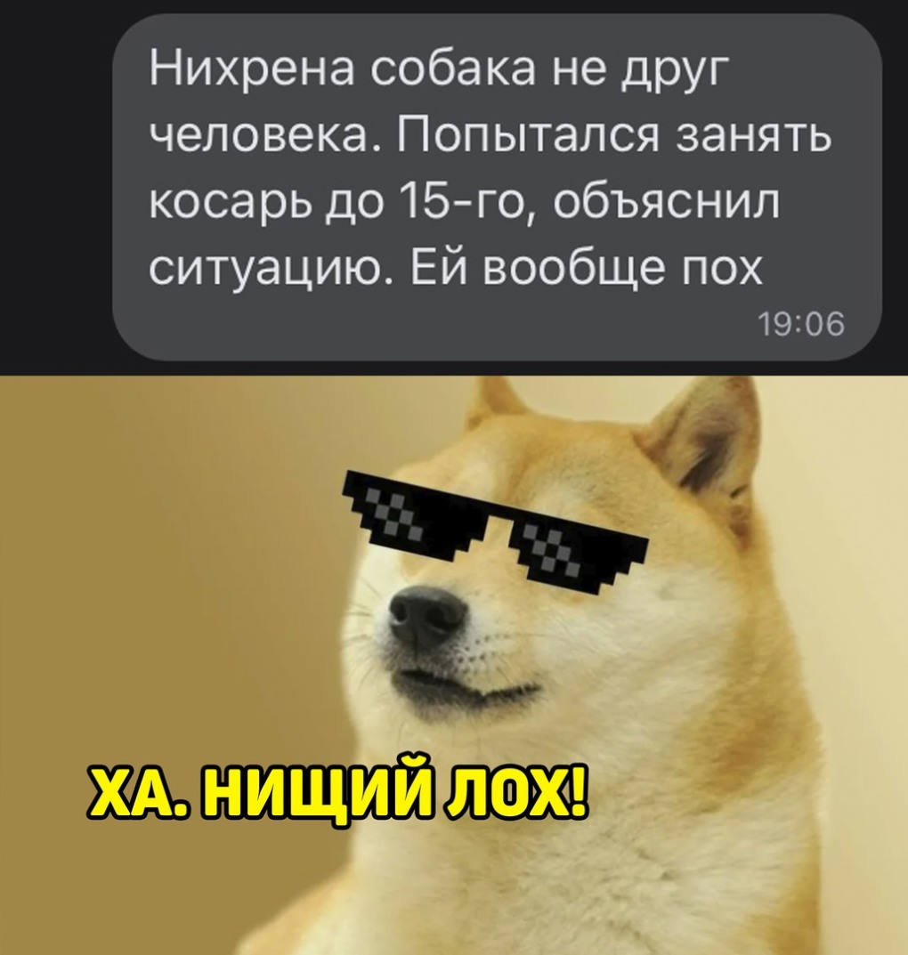 Смешные картинки c приколами без авторских прав
