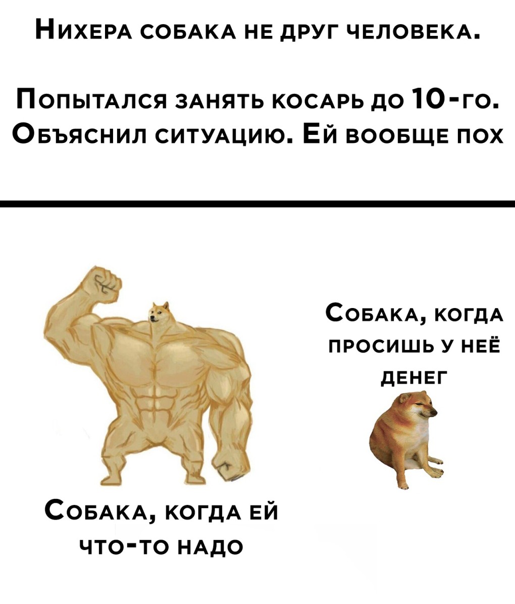 Нихера собака не друг человека