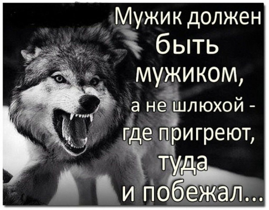 Бегать за овцами удел Баранов