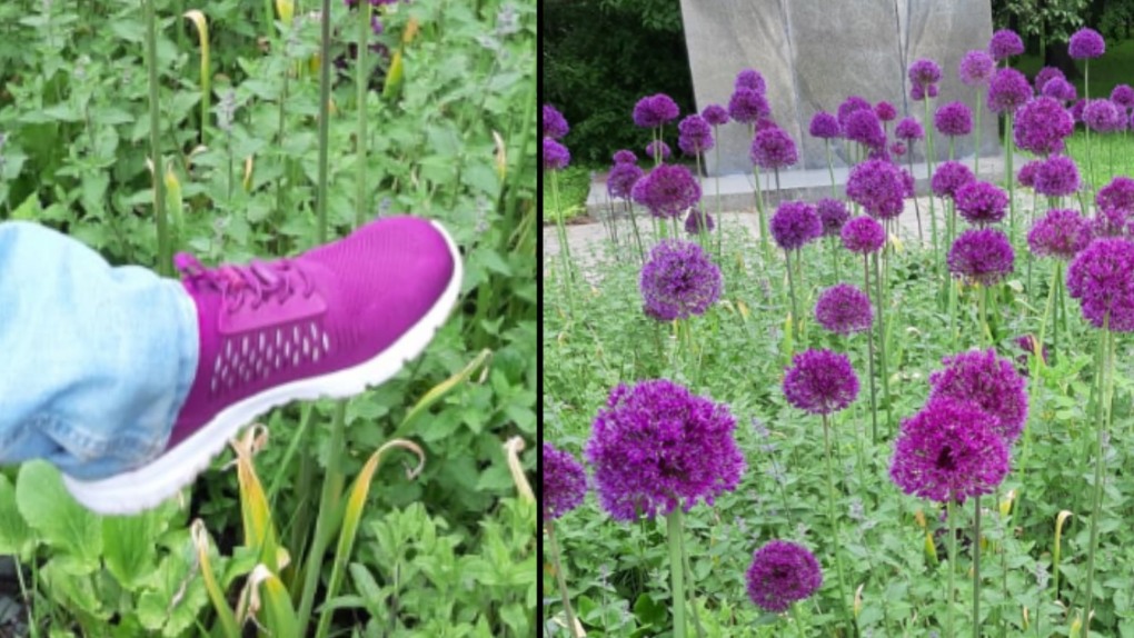 Тамара леонтьева в красных трусах