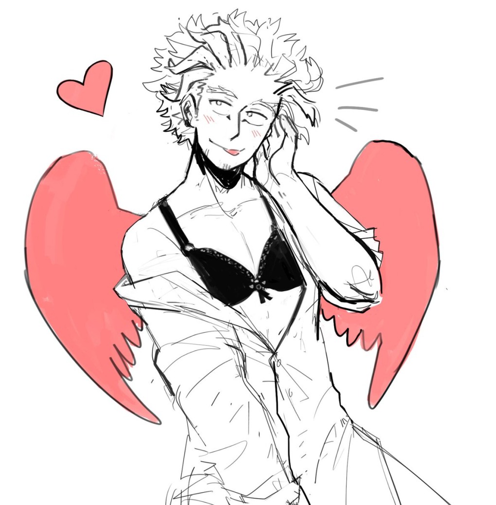 Bnha Hawks +18