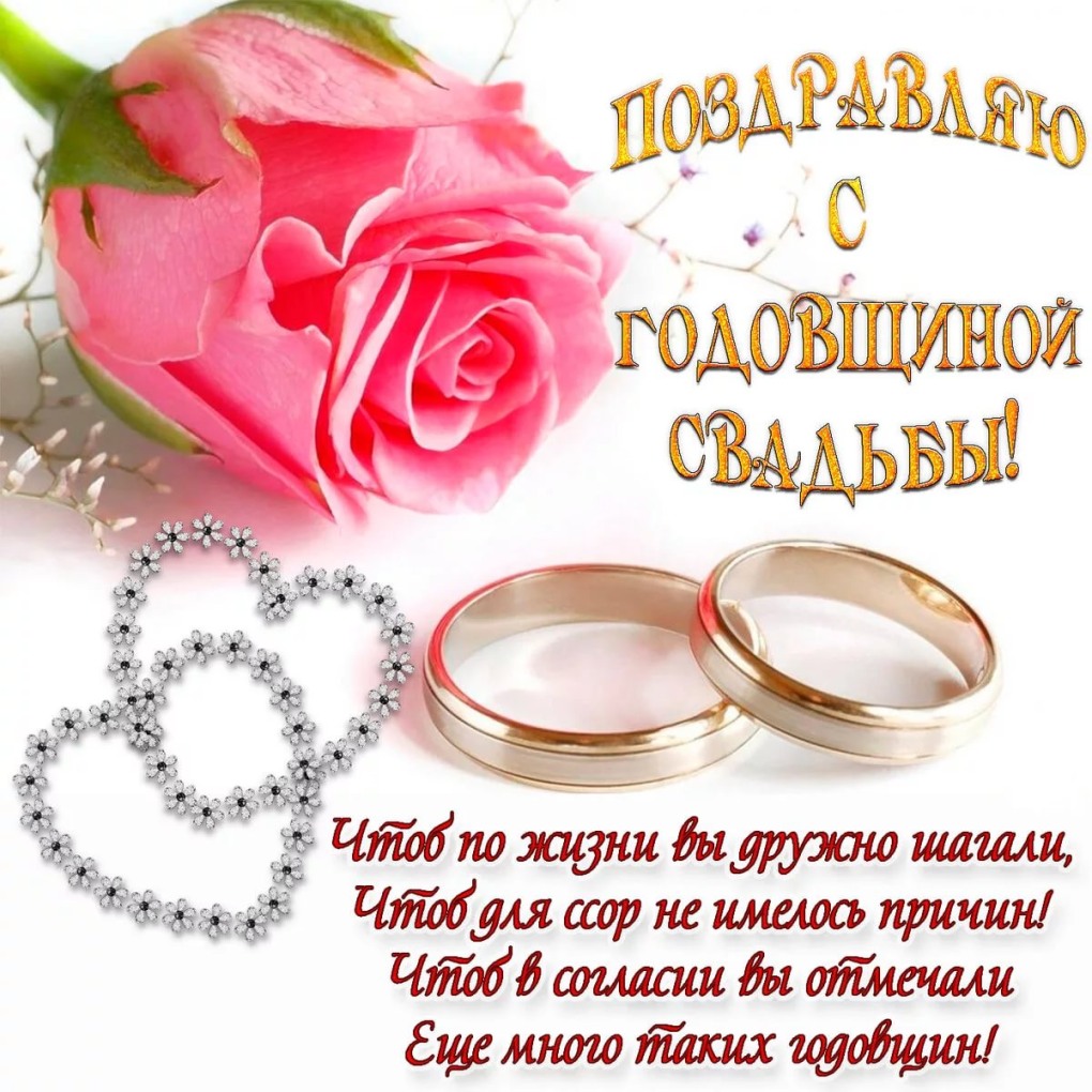 Антираковая тарелка защитники от онкологии