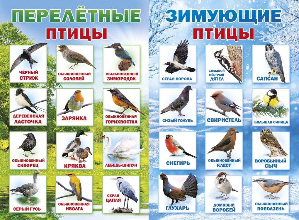 Виктория Тарасова