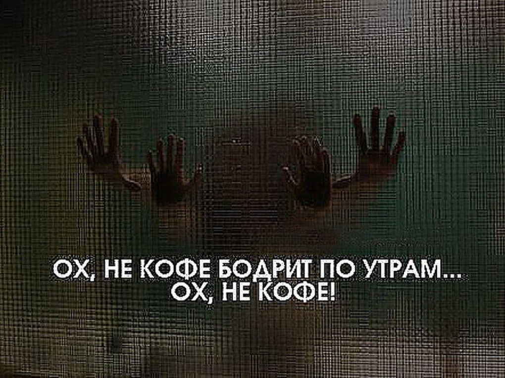Бодрит с утра не кофе