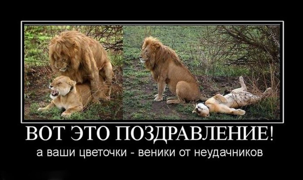 Охота это когда тебе охота и ей охота