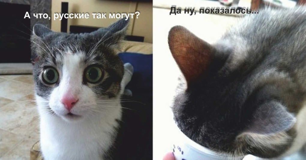 Что ты хочешь со мной сделать опрос