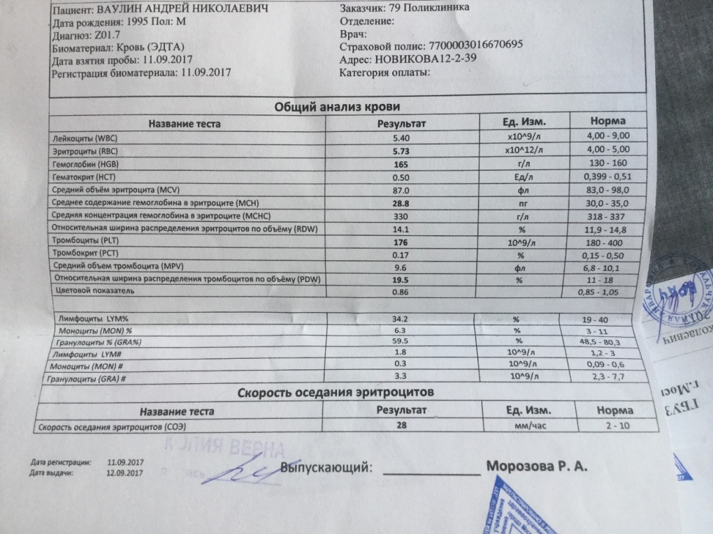 Рената Камалова