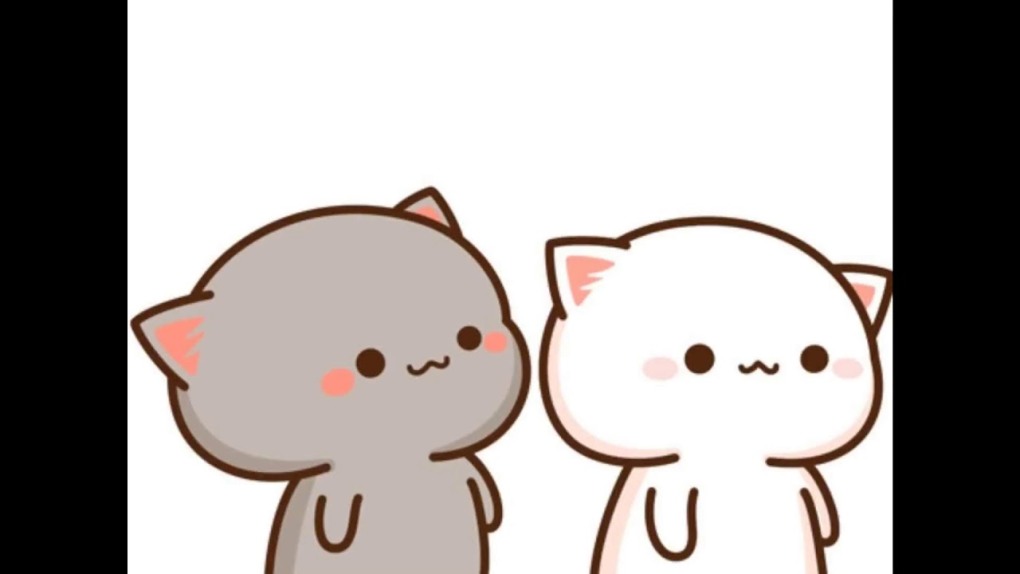Гифы мишек Milk and Mocha