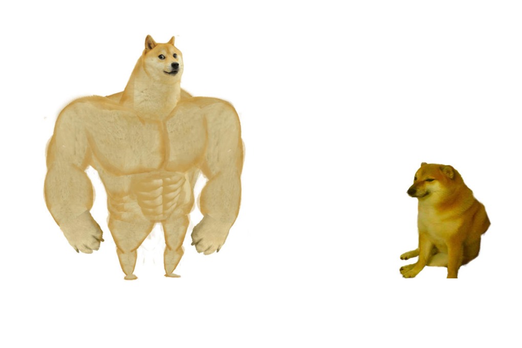 Doge качок