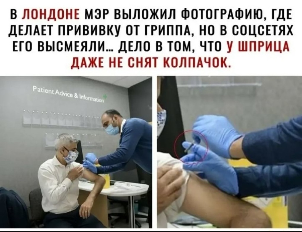 Ярослав Нилов и Жириновский