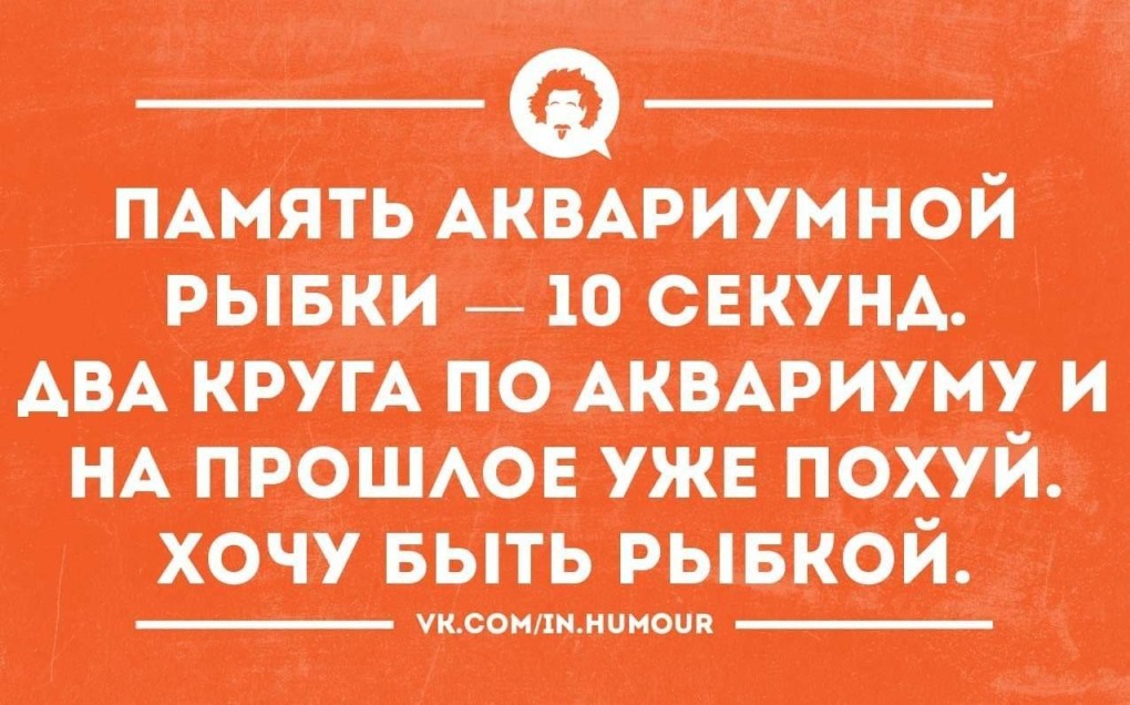 Цитаты про стресс