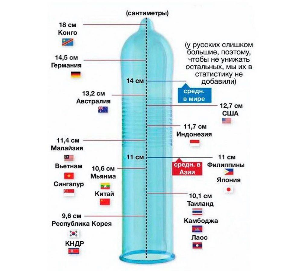 Какой длины и толщины должен быть нормальный член