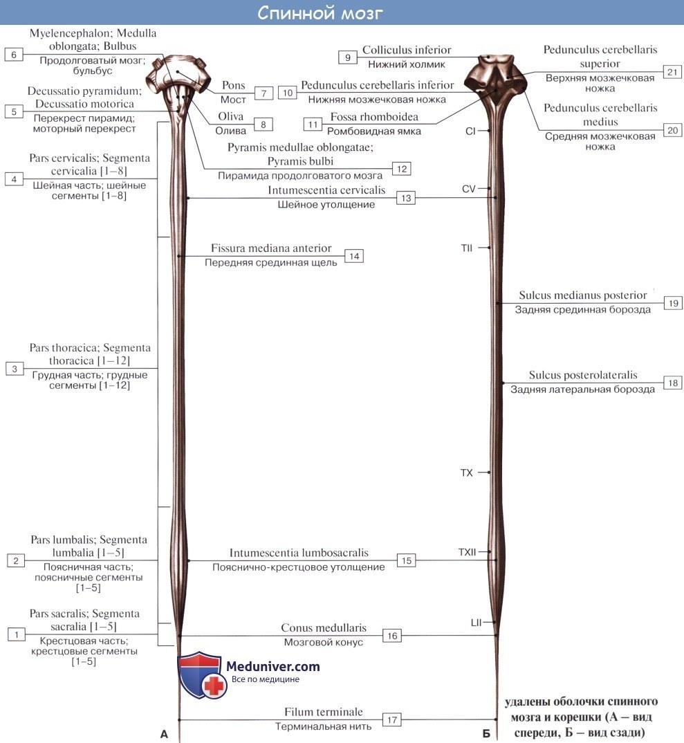 Зрелая баба одетая и раздетая