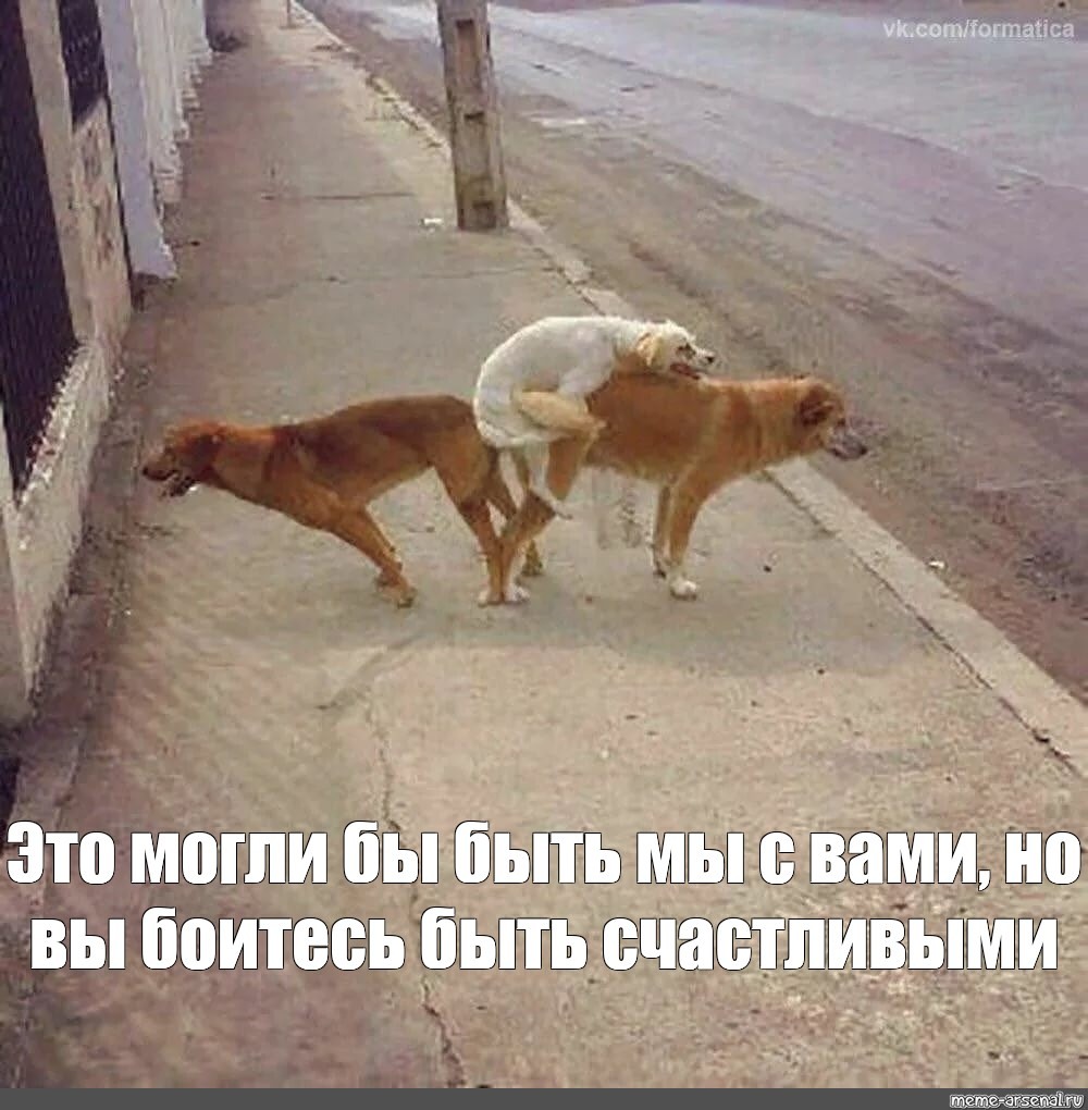 Джонни Кэтсвилл любовный треугольник