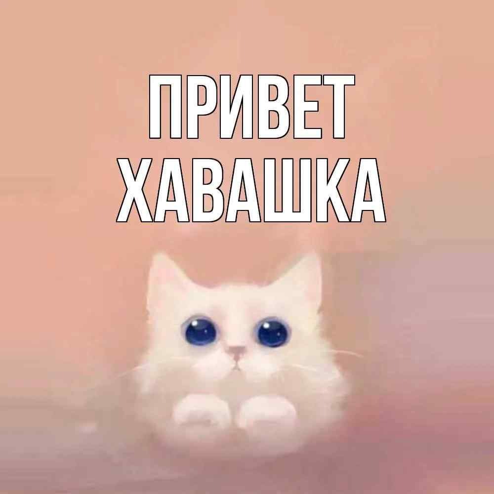 Telegra.PH сливы 14 лет