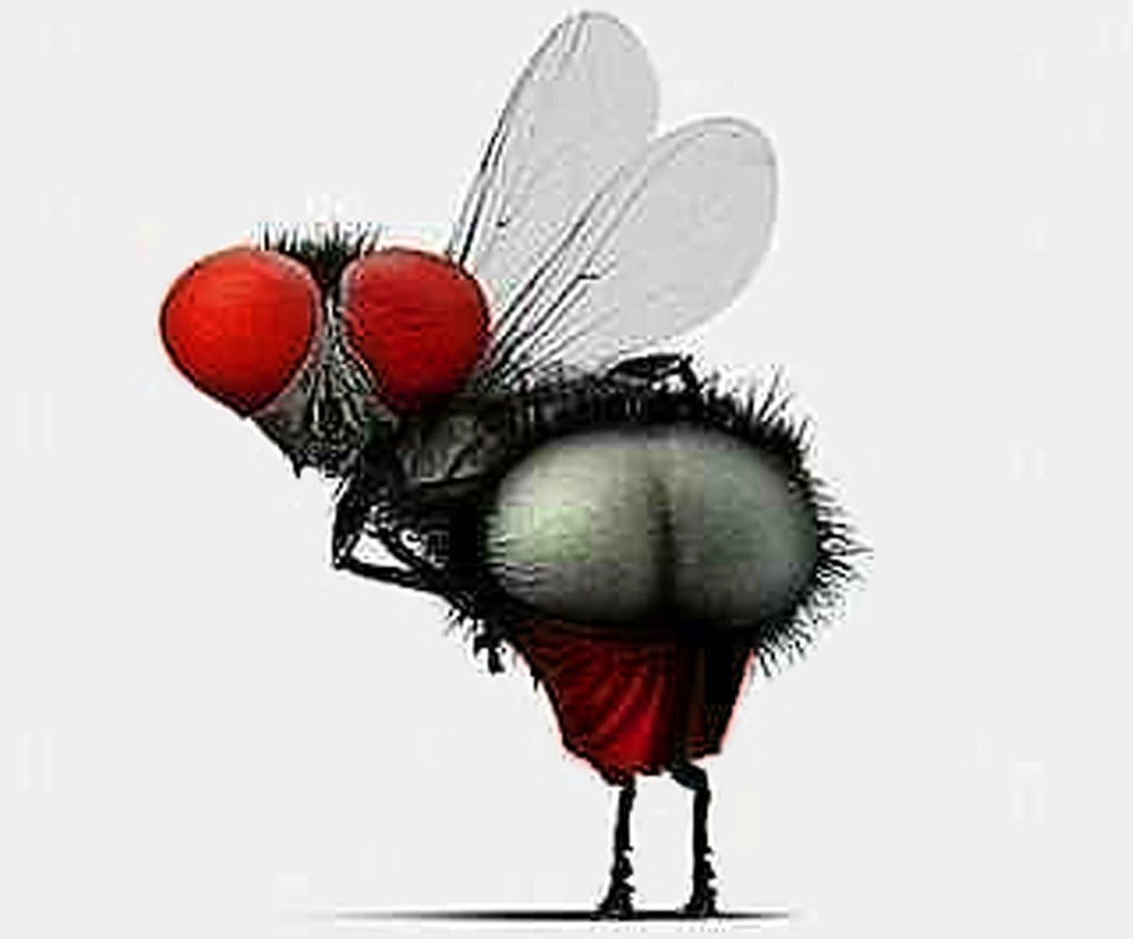 Жалеющий смайлик