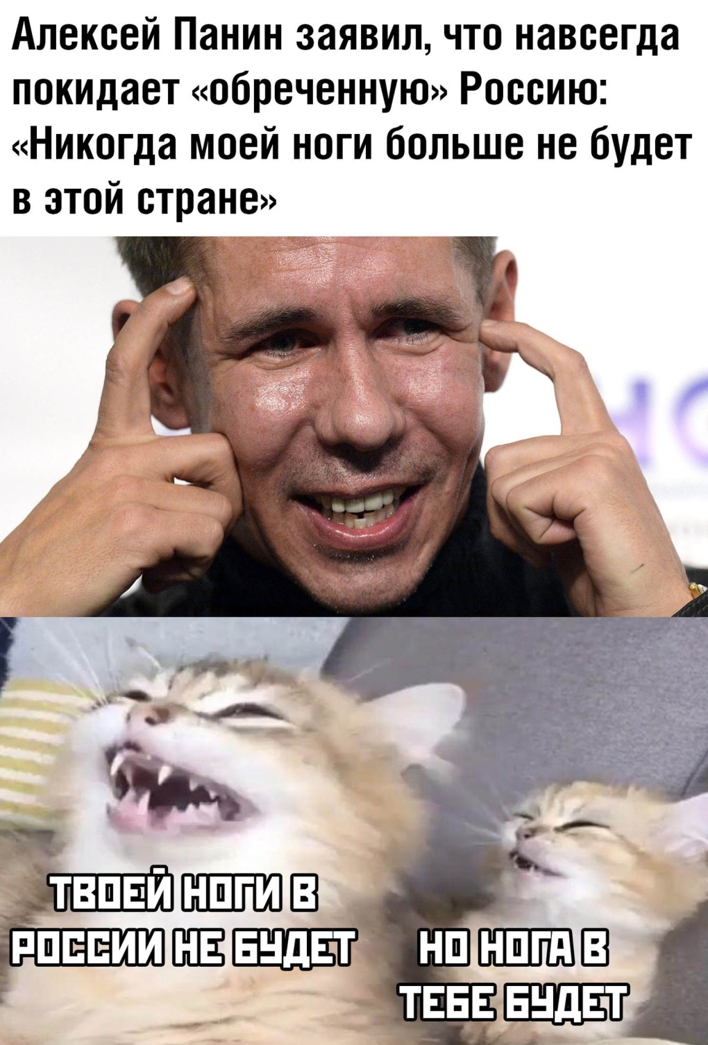 Таблица сравнения WORDPRESS, Drupal, Joomla