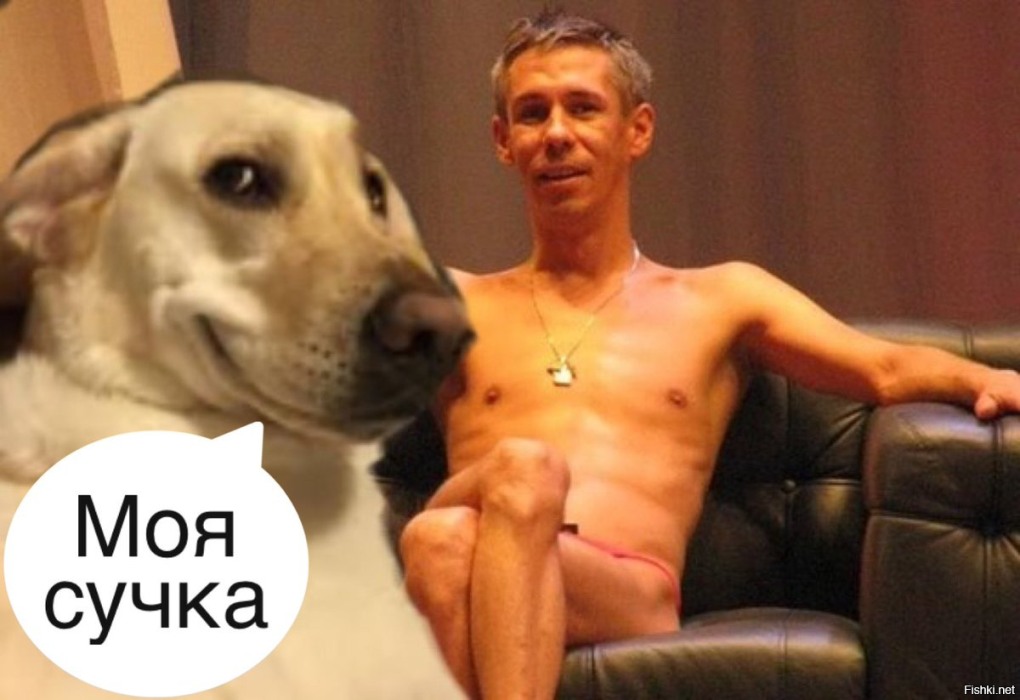 Алексей Панин Мем