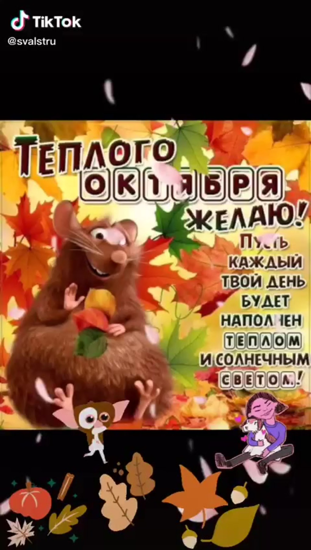 Цитаты про бухгалтеров
