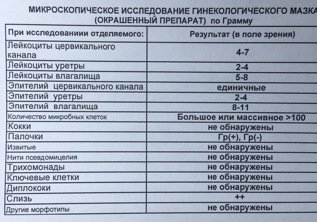 Заключение кт при пневмонии