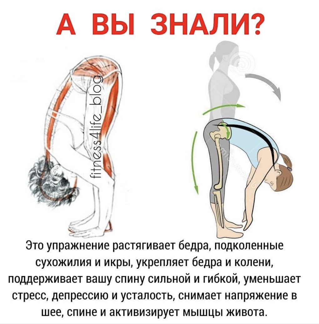 Хочешь жить дольше чаще наклоняйся
