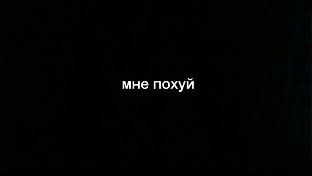 Обои с надписью мне похуй