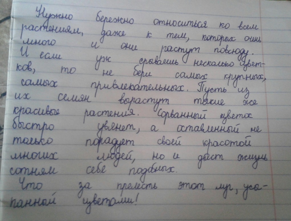 Антон Тини Банни