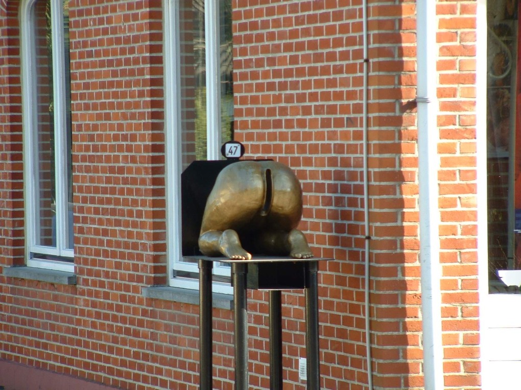 Зад из окна