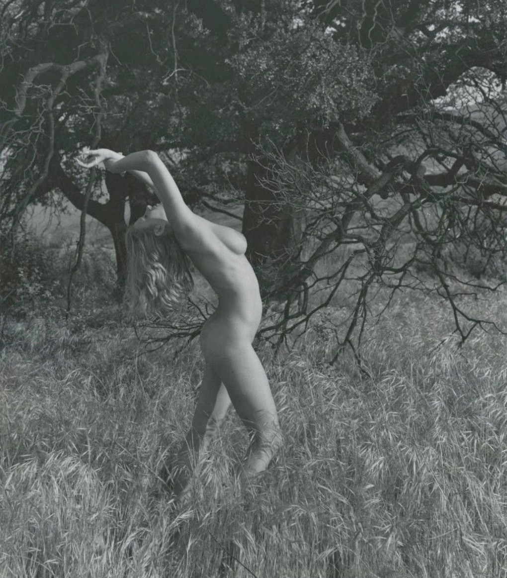 Suzanne Pritchard