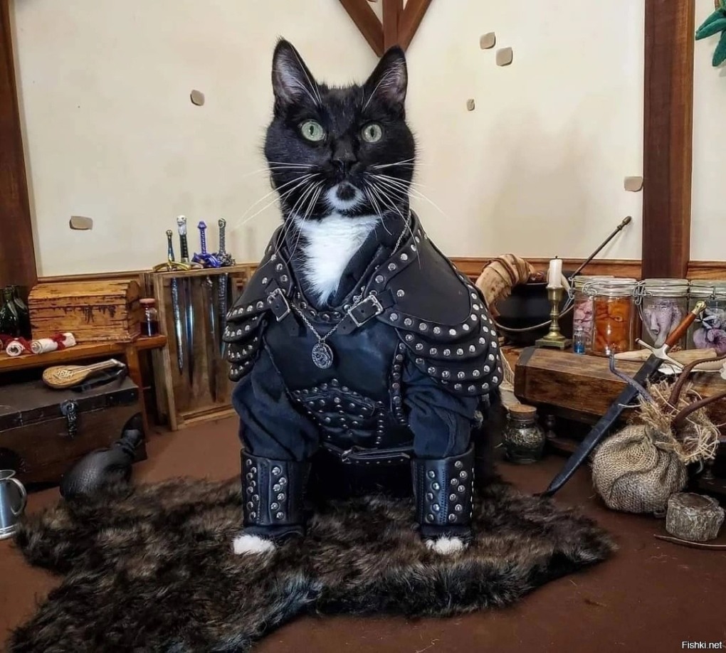 Александр Богданович
