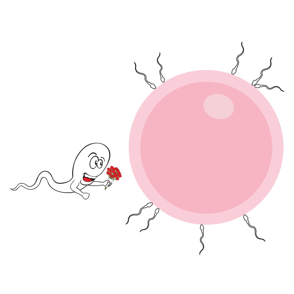 Снежана Емельяненкова