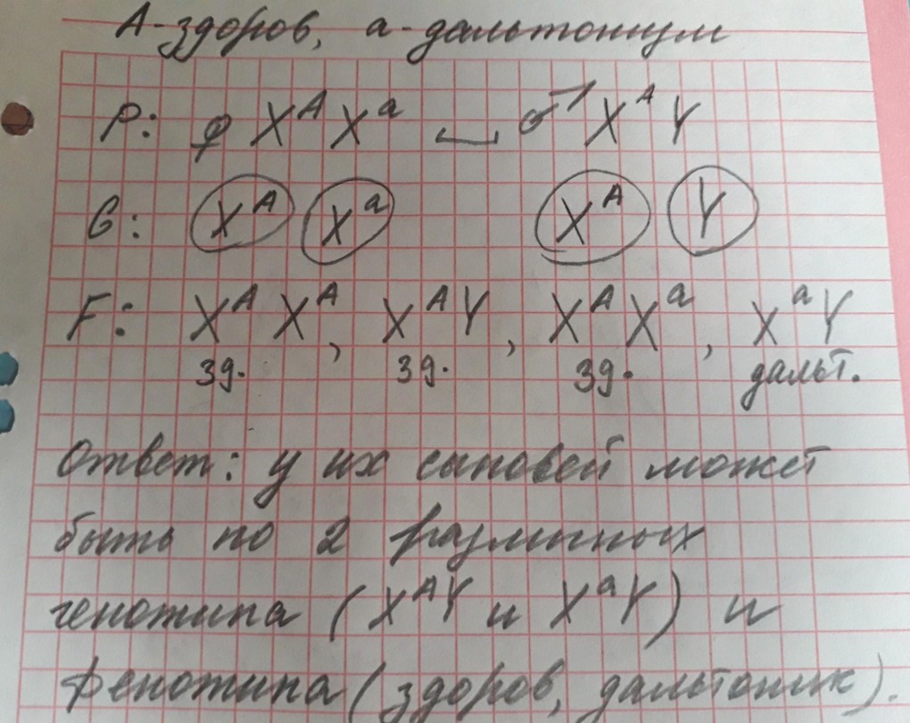 Девушек из ст новопластуновской