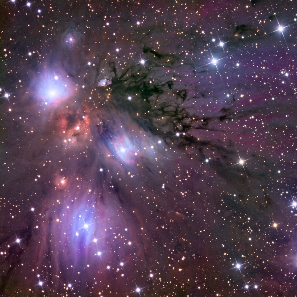 FRZ.Temp холодильник