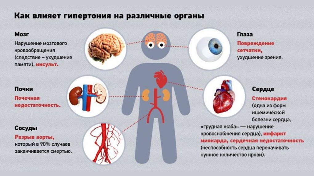 Органы мишени артериальной гипертензии