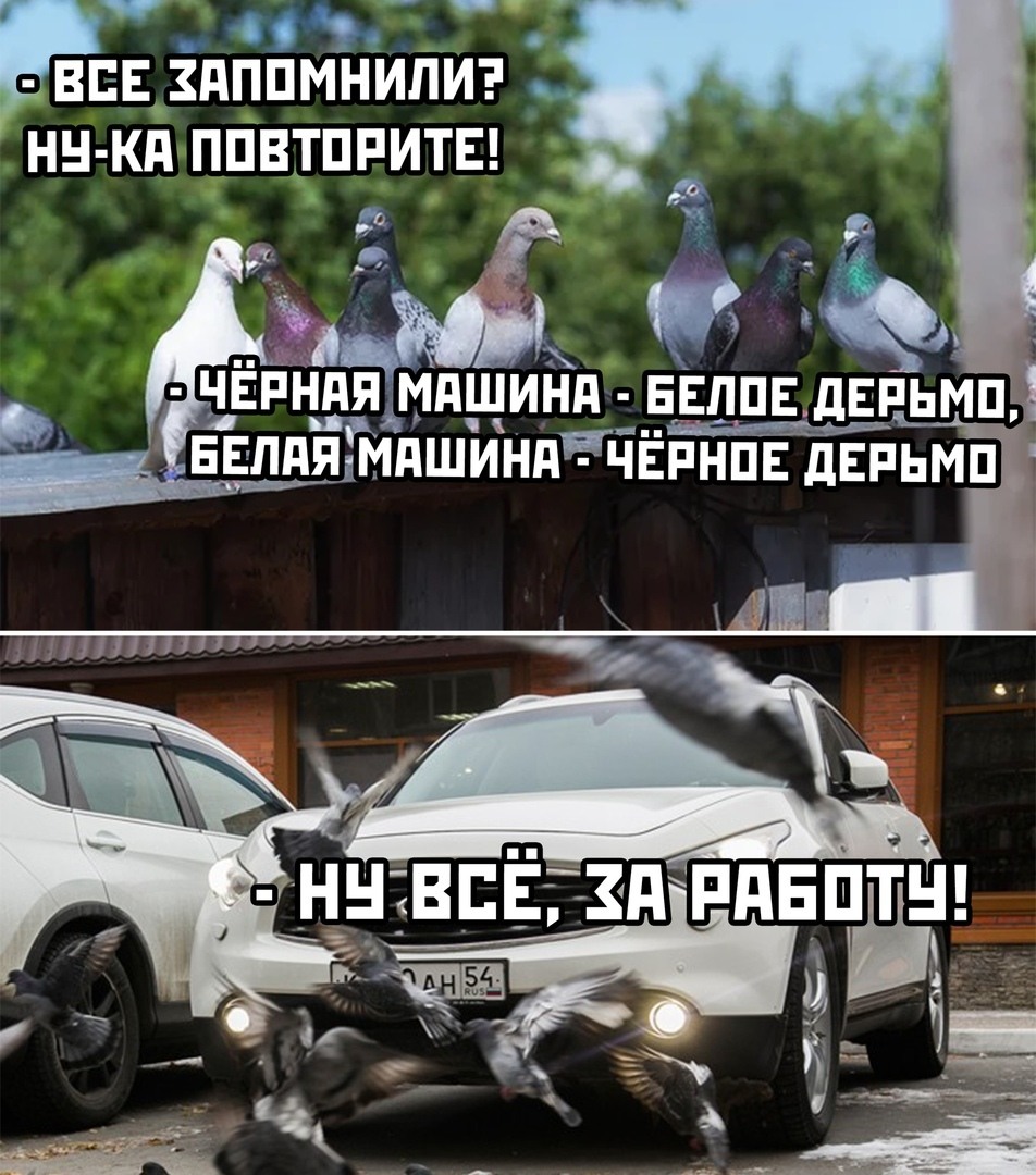 Если машина белая насру чёрным