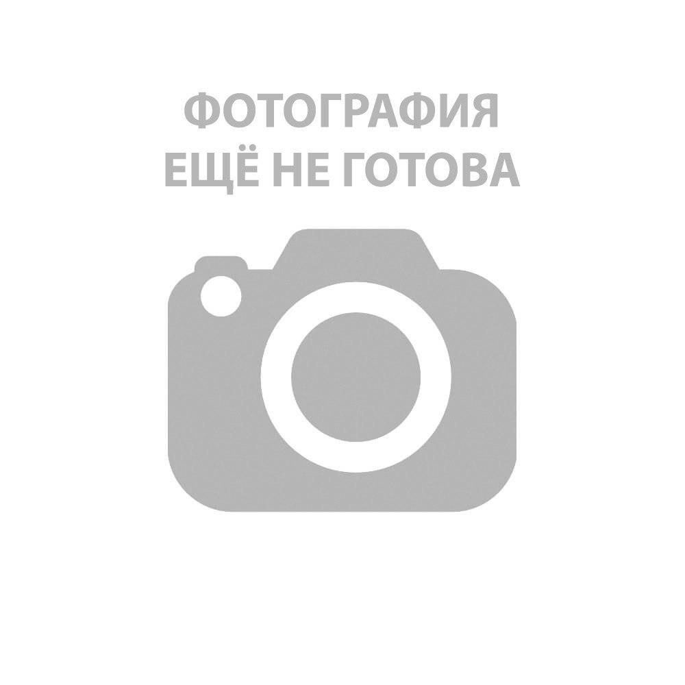 Дина саева сливы 2021