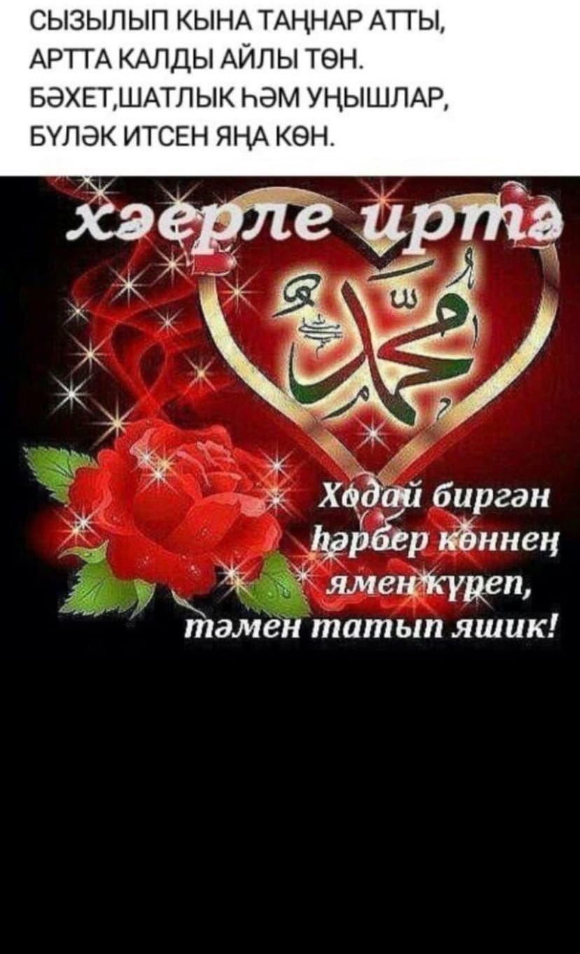 Дарья Харитонова Ташкент