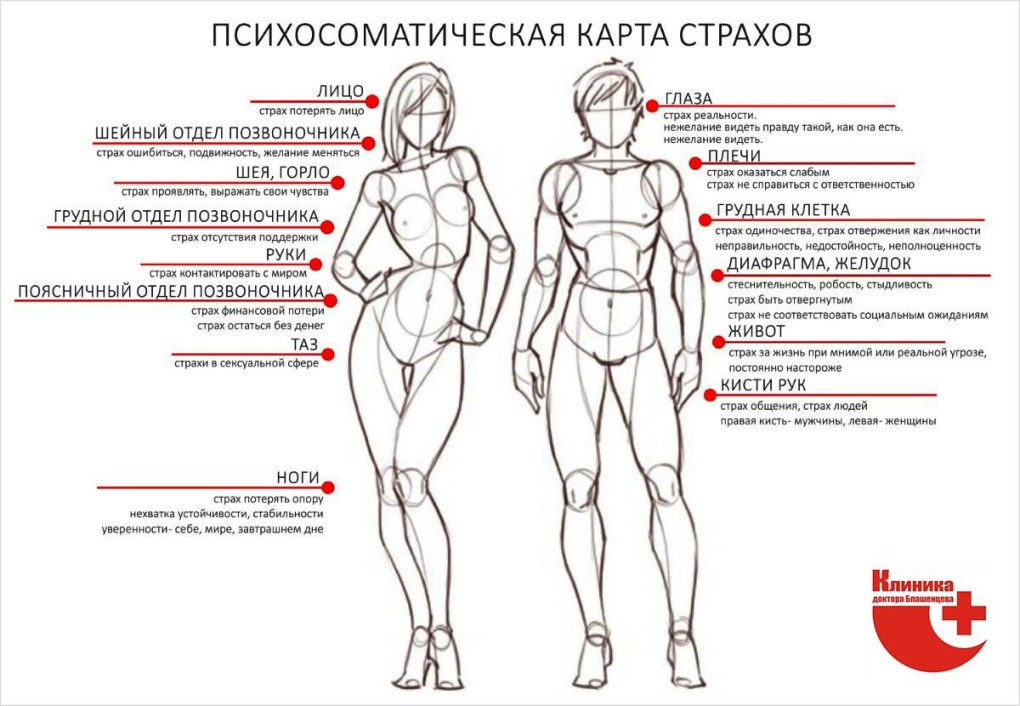 Г Апатиты на карте