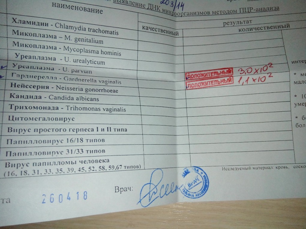 Борисенко Вера Евгеньевна Кстово