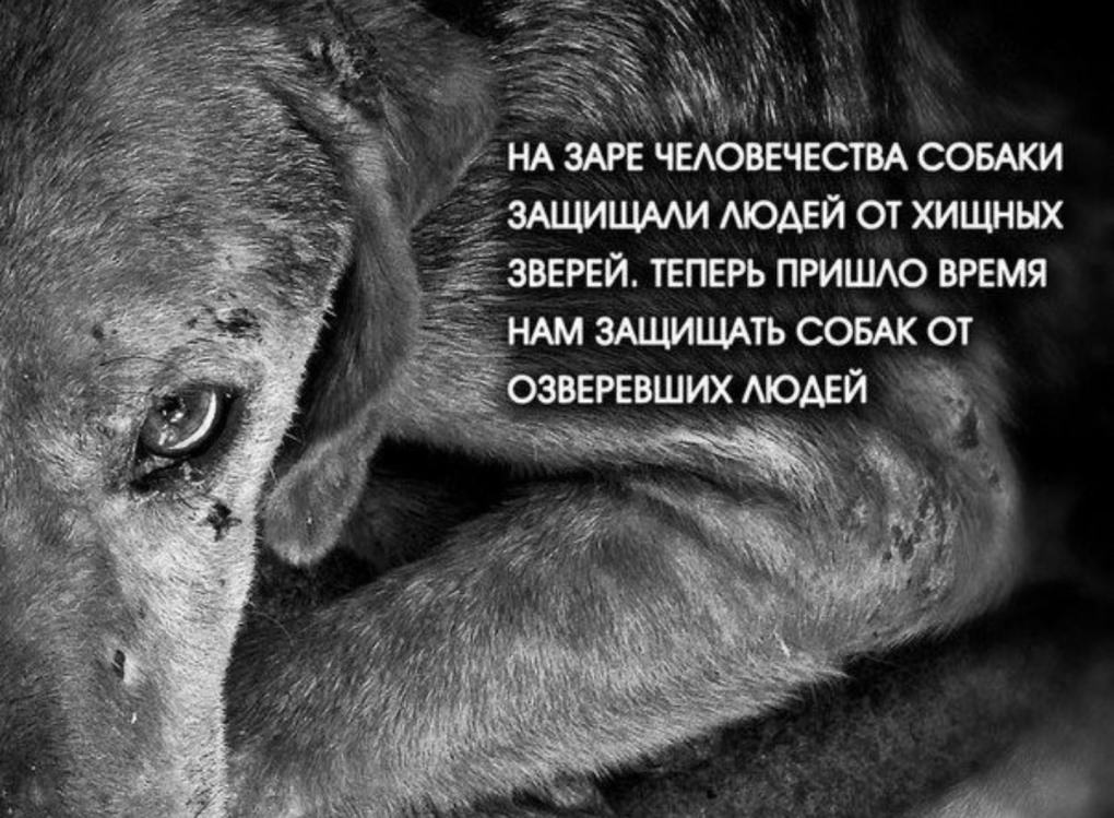 Рисунки с намеком