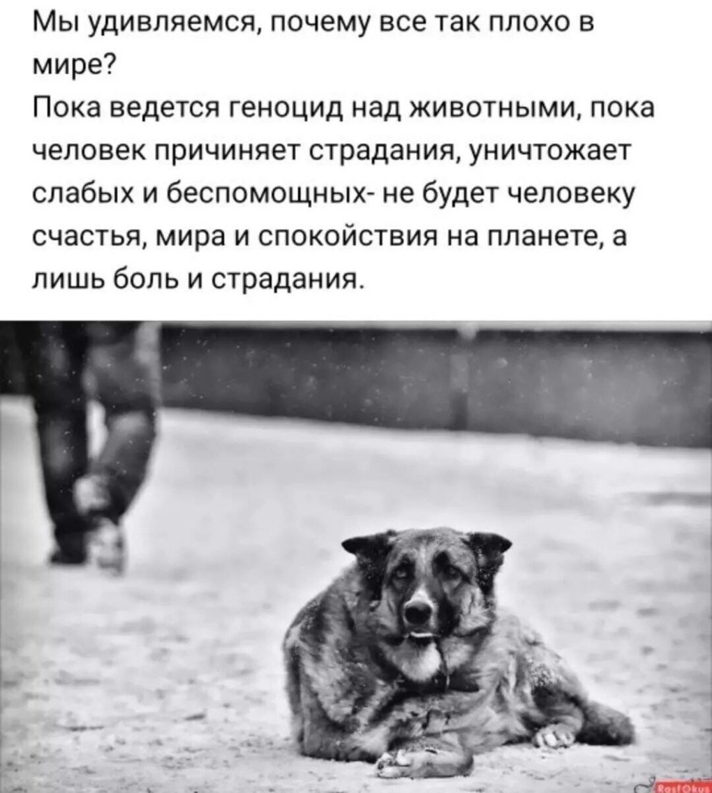 Олеся Новикова Брянск