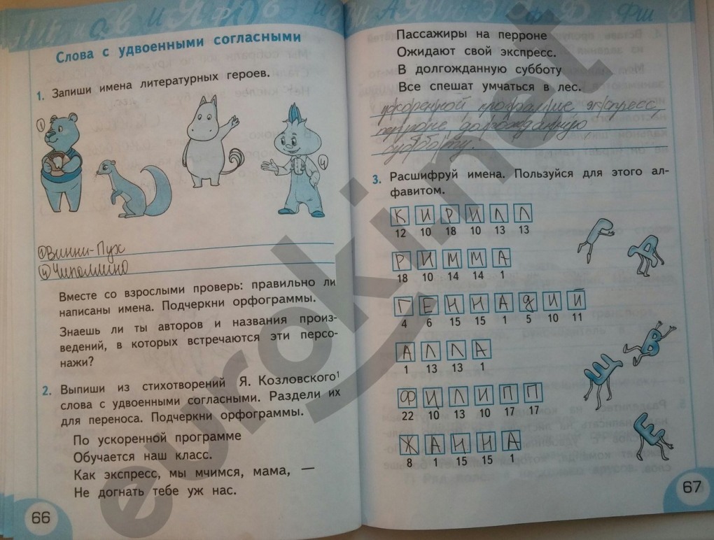 Миниатюрные женщины частное