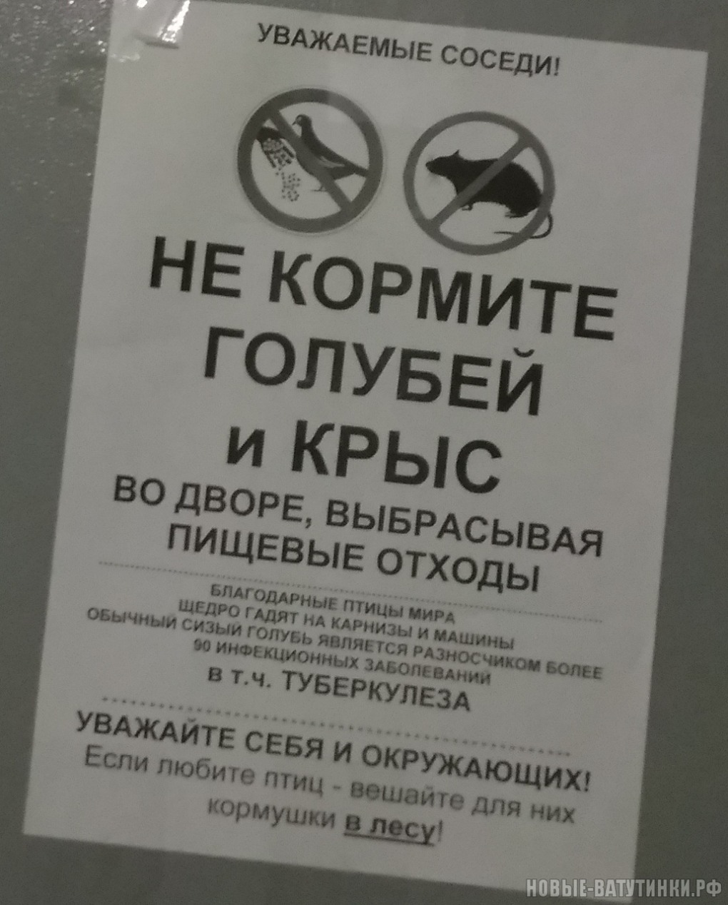 Табличка не кормить голубей