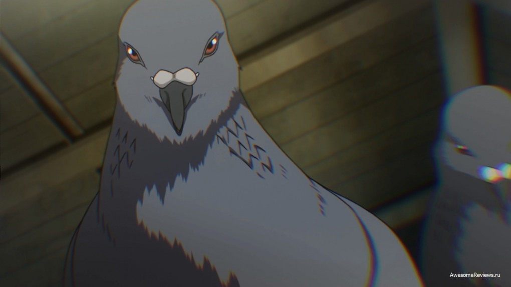 Голубь киборг